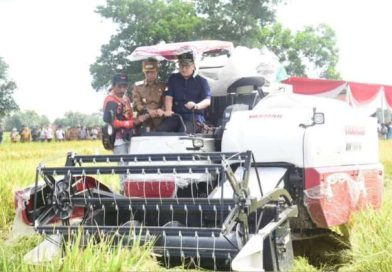 Ketua DPRD Hadiri Panen Raya Padi Serentak Bersama Presiden