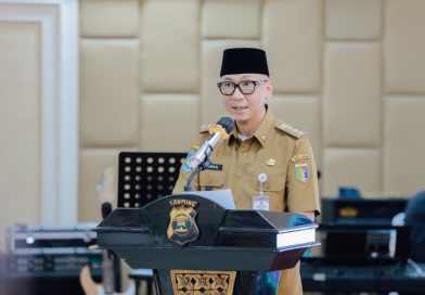 Gubernur Mirza Ingin Pemudik Aman, Lampu Jalan yang Padam Langsung Diperbaiki