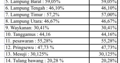 Data Kemantapan Jalan Kabupaten/Kota 2025,  Suguhkan Kenyataan Ketimpangan Infrastruktur