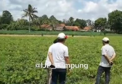 Berpraktek Hilirisasi Menuju Industri Manufaktur Oleh: Deni Kurniawan Ketua Koperasi IJP Maju Sejahtera