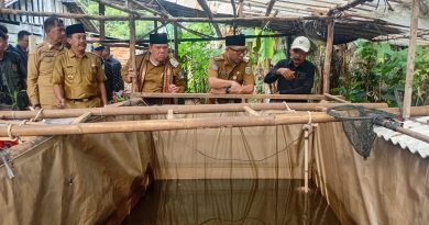 Gubernur Mirza Tinjau PHC di Lampung Timur, Dorong Petani Tingkatkan Hasil Panen