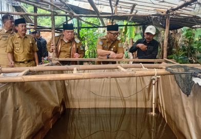 Gubernur Mirza Tinjau PHC di Lampung Timur, Dorong Petani Tingkatkan Hasil Panen