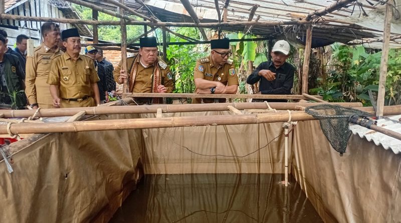 Gubernur Mirza Tinjau PHC di Lampung Timur, Dorong Petani Tingkatkan Hasil Panen