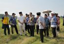 Sinergi Pusat dan Daerah, Dirjen Kemdiktisaintek Tinjau Calon Lokasi SMA Unggul Garuda