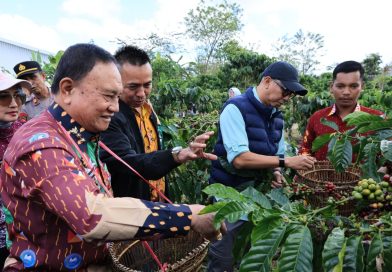 PHC Ubah Wajah Perkebunan Kopi Lampung, Gubernur Mirza Dorong Produktivitas Kopi Meningkat