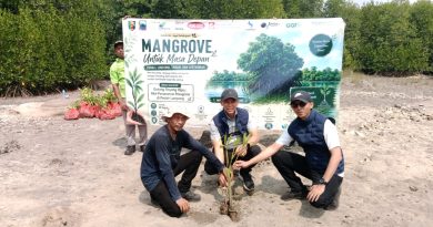Dukung Kelestarian Pesisir, Bank Lampung Sinergi Bersama Forum CSR dan Forkopimda Tanam 4.000 Mangrove