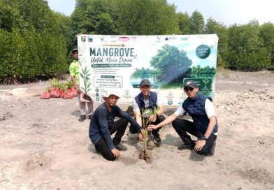 Dukung Kelestarian Pesisir, Bank Lampung Sinergi Bersama Forum CSR dan Forkopimda Tanam 4.000 Mangrove