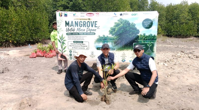 Dukung Kelestarian Pesisir, Bank Lampung Sinergi Bersama Forum CSR dan Forkopimda Tanam 4.000 Mangrove