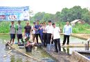 Budidaya Ikan Patin,  Gubernur dan Bupati Apresiasi Inovasi Pakan Mandiri