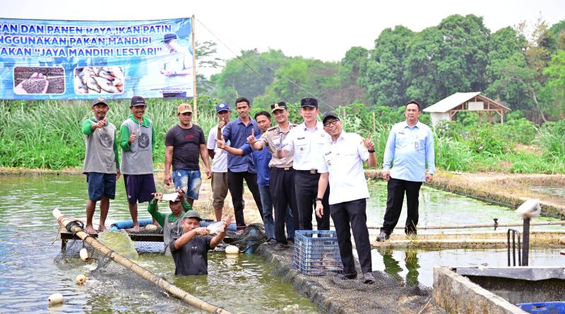 Budidaya Ikan Patin,  Gubernur dan Bupati Apresiasi Inovasi Pakan Mandiri